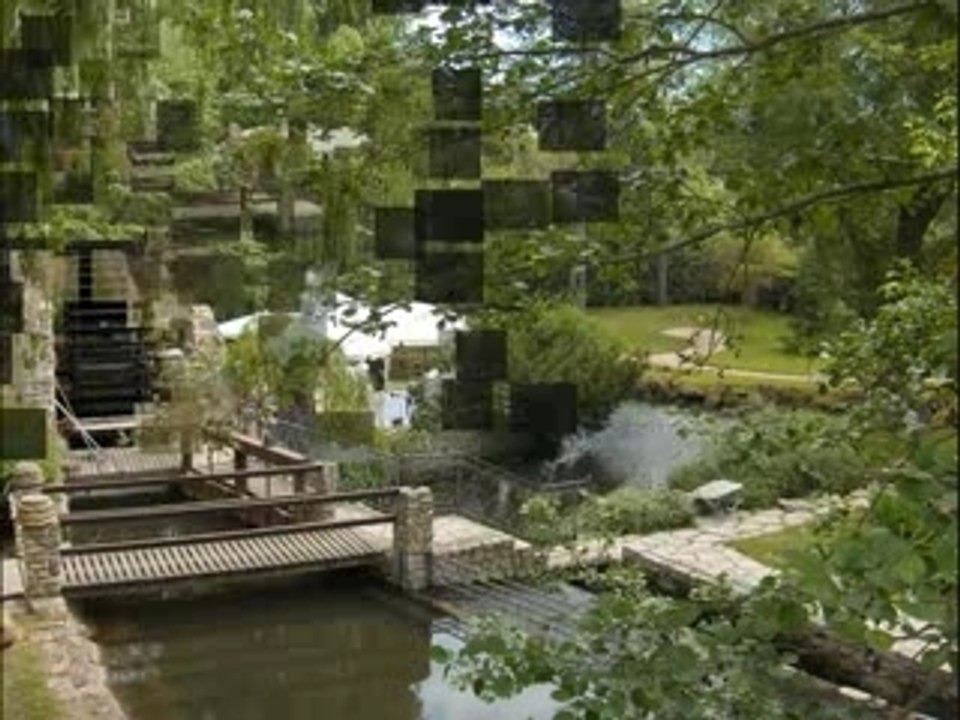 Hommage claude françois 1_0001