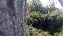 High Tree Climbing | Trust The Branches