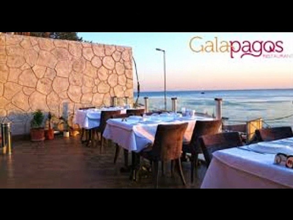 galapagos_balık_restoranı,Galapagos müzikli balık restoranı Florya,florya balık restaurant,florya balık restaurant fiyat