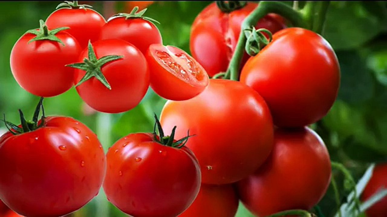 5 Beauty Benefits Of Tomatoes in Hindi - टमाटर के 5 लाभ URDU