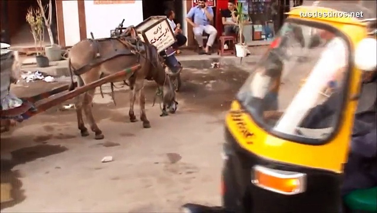 محمد عبدالوهاب   أغار من قلبي