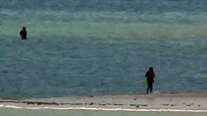 ZOOM of NIKON P900 Amazing