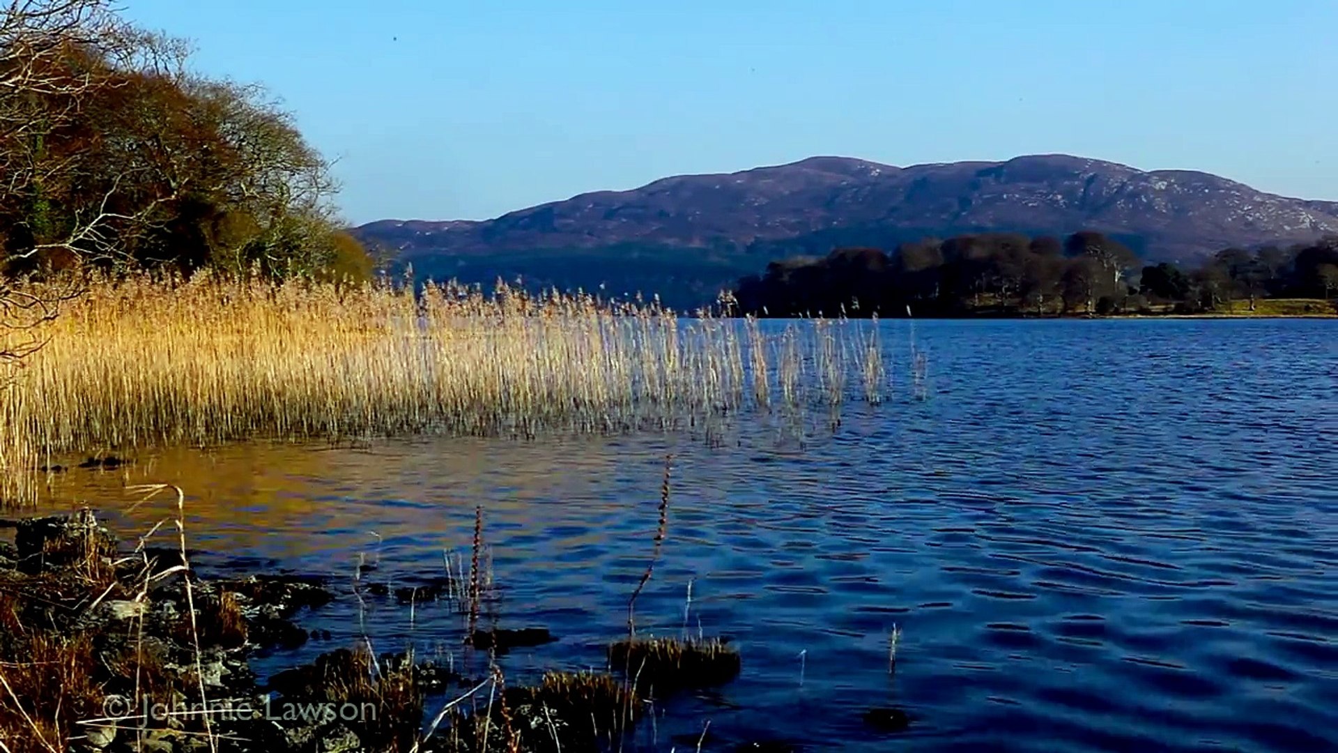 ⁣1 Hour of Relaxing Nature Sounds-Birds Singing and Gentle Waves-Birdsong-Relaxation Medita