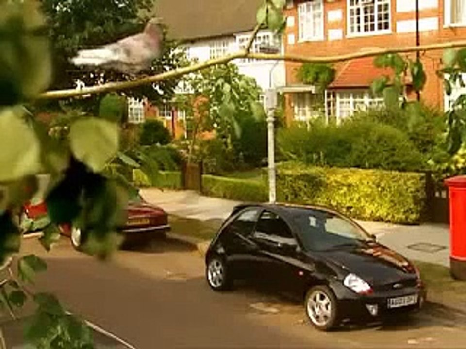 WhatsApp Videos The Awesome car