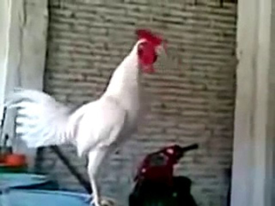 Funniest moments videos se02