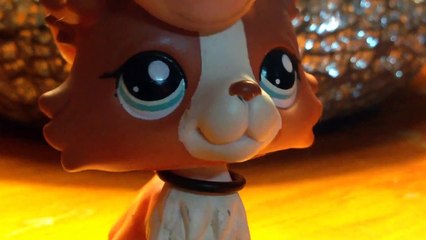 Updates #1; dares, Instagram, Vine, YouTube