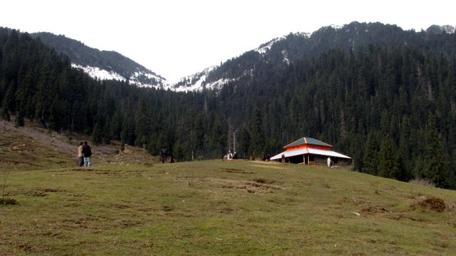 Swat Trees Cutting Forests Disappearing Report by Sherin Zada