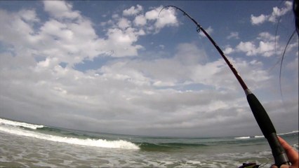 Peche du bar dans les baines  Bar 1 - Titof 0