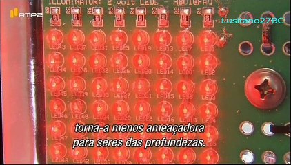 Abismos Lendários, A Lula-Gigante, #1,  Legends of the Deep, The Giant Squid - RTP2