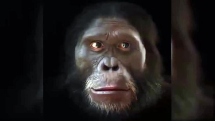 L'évolution du visage humain en 6 millions d'années