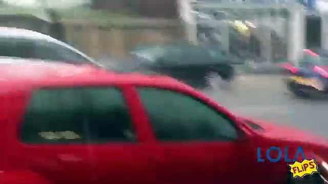 Raining Cats and Dogs.... and Wheelie Bins