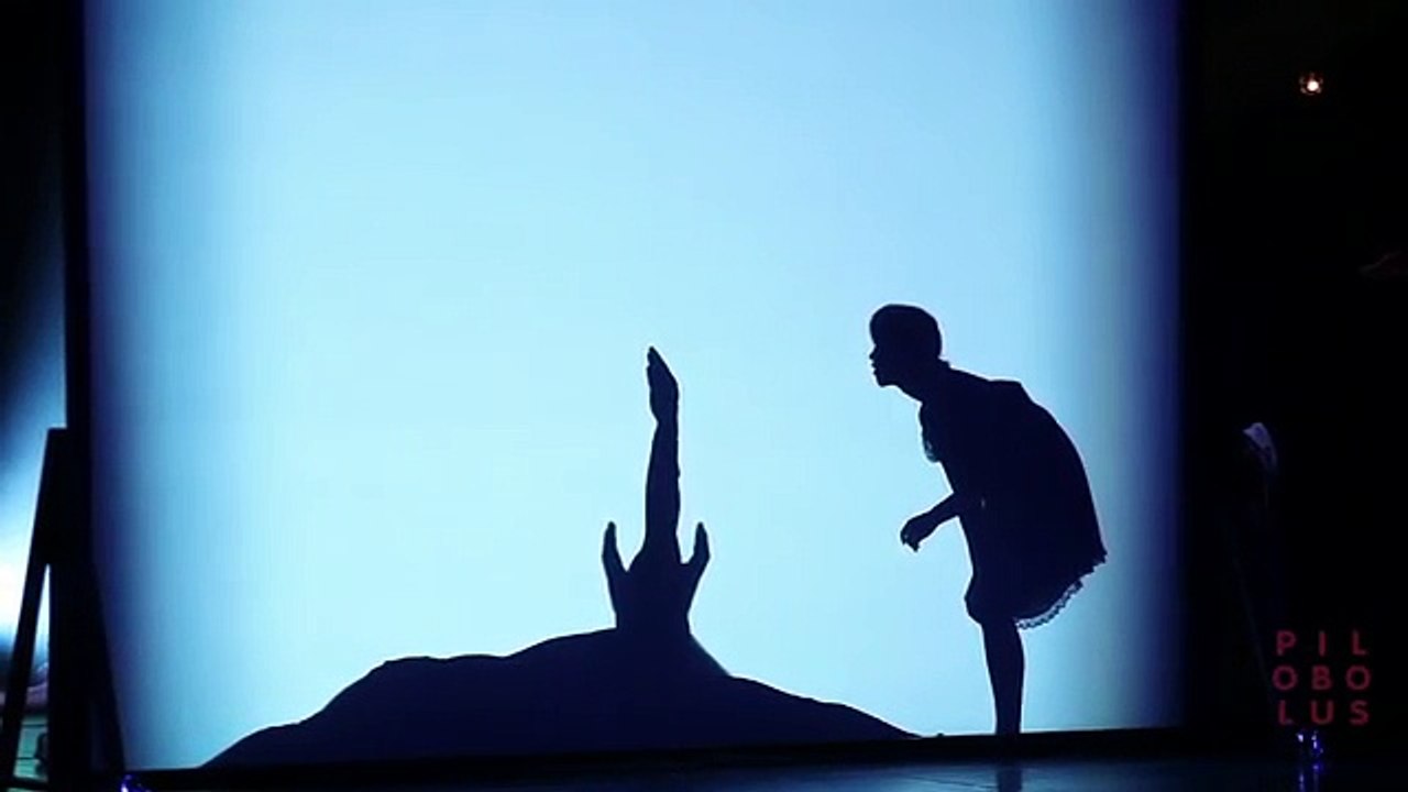 Shadowland Flower.mp4