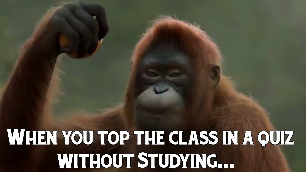 When you top the class wdout study.. really funny