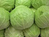 Health Benefits of Cabbage For Pregnant Women