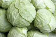 Health Benefits of Cabbage