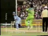 Amazing Compilation of Wasim akram bowling performance in 1992 World cup