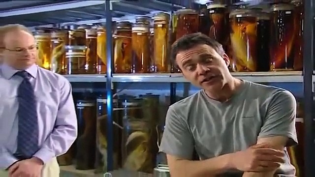 #1 Record Breaking Fish Barbel Sea Trout & Crucian Carp Fishing Videos