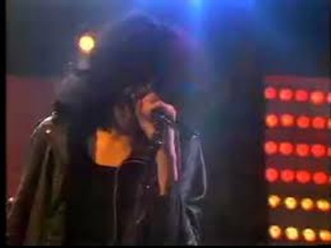 The RAMONES - HEY HO, LETS GO - live 2015 in Belgrade