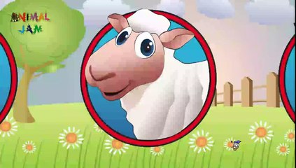 animal jam songs how to be a heartbreaker for kids stadies animal funny ep 9