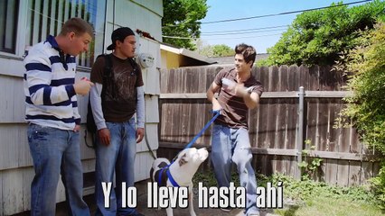 LA REGLA DEL DIA DE LAS MADRES