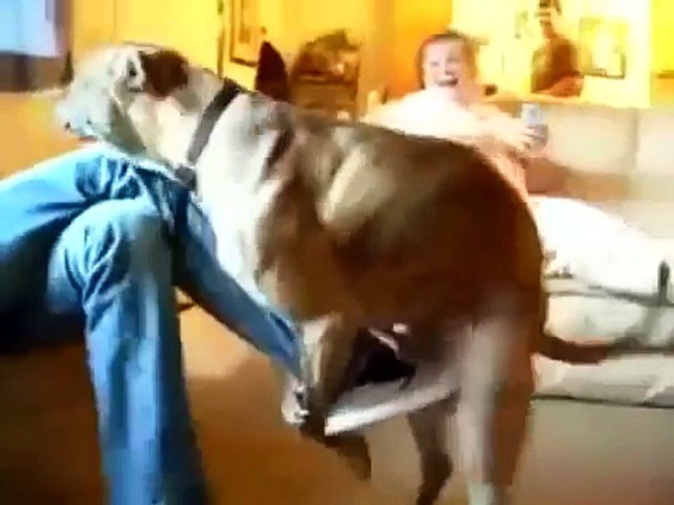 Doggy_gone_crazy_-_Mating_with_Human