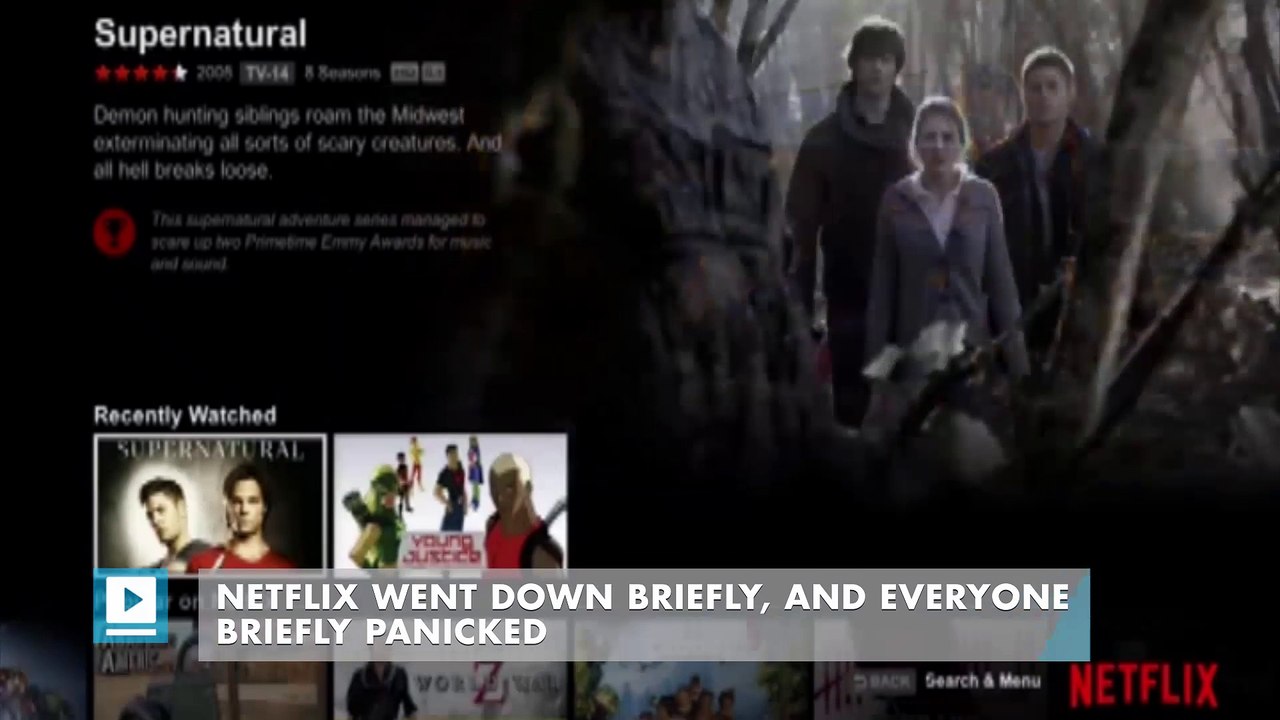 Netflix went down briefly, and everyone briefly panicked