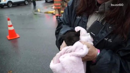 Kid helps fire department save kitten from storm drain