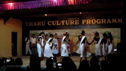 Nepal Tharu stick dance 尼泊爾泰魯族棍舞表演