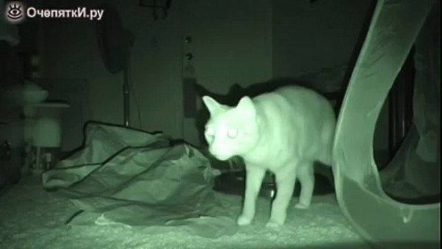 Противостояние силы тьмы и света в ночи )