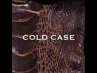 vistlip - COLD CASE - 1.COLD CASE