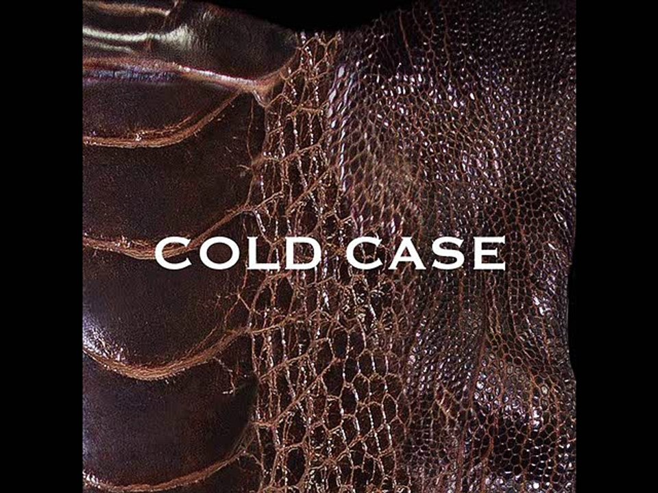 vistlip - COLD CASE - 1.COLD CASE
