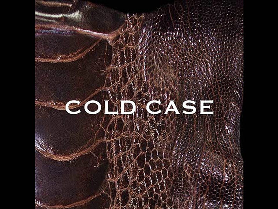 vistlip - COLD CASE - 3.BAKE