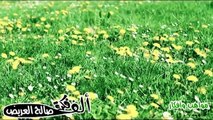 Maher Zain - Muhammad (Pbuh) [Waheshna] | [ماهر زين - محمد (ص) [واحشنا | Official Music Vi
