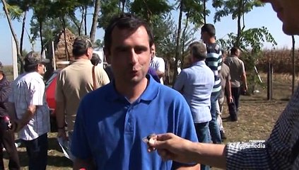 Istraživali smo: Šta poljoprivrednike interesuje na internetu?_420_03.10.2015.