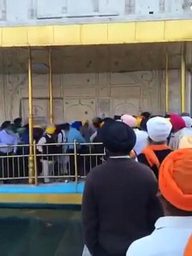 Makkar hiding from sangat