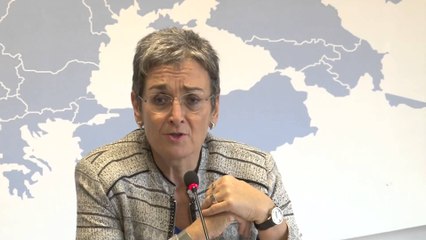 Lunaçek: Ri-negociimi i Bashkësisë së Komunave serbe është i  domosdoshëm