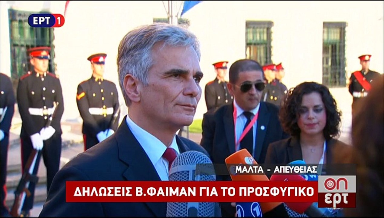 Δηλώσεις Φάιμαν-Σουλτς