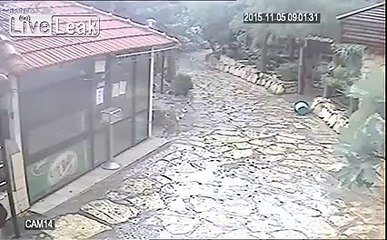 Стихия в Амане