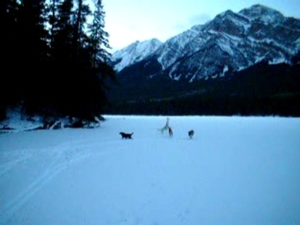 A jasper christmas 114