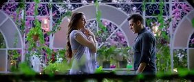 Jab Tum Chaho Song - Prem Ratan Dhan Payo - Salman Khan & Sonam Kapoor - Diwali 2015
