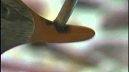 Friends of Bob Ross: Beebe Hopper Mallards