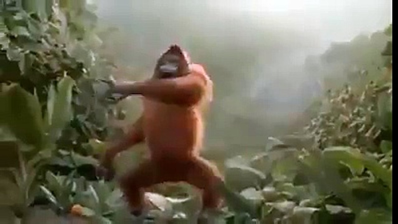 koi yah ker k dakh funny song HD (songworldland.com)