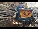 Smooth Criminal played on barrel organ is pure gold!! Michael Jackson Cover