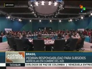 Brasil propondrá al G20 preservar los subsidios agrícolas