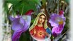 VAILANKANNI MATHA TAMIL SONGS, ROMAN CATHOLIC CHRISTIAN SONG, NON STOP Tamil Hymns to Mary
