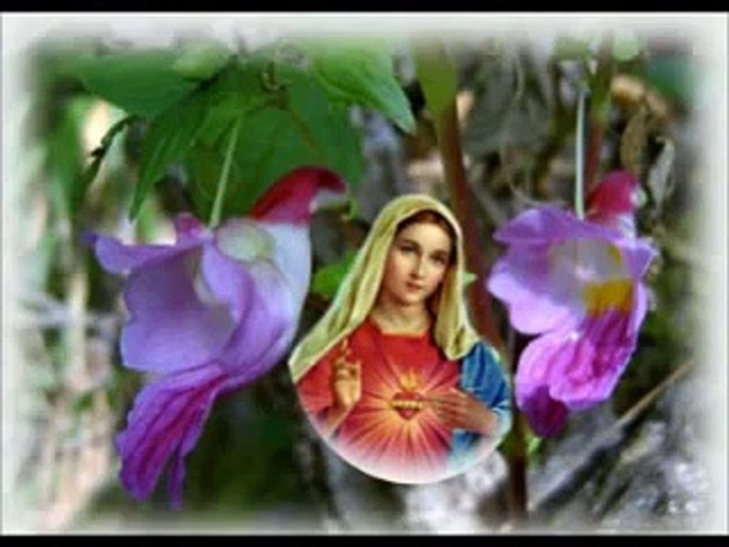 ⁣VAILANKANNI MATHA TAMIL SONGS, ROMAN CATHOLIC CHRISTIAN SONG, NON STOP Tamil Hymns to Mary