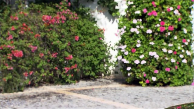 DESIGN Selenit Grey Novo Mercedes-Benz C 250 D Coupe 2017 2.1 Turbo 204 cv