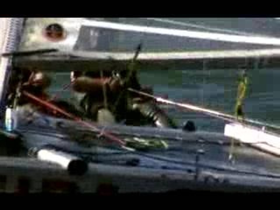 Cat Sailing Cam
