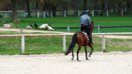 carton plein découverte ambiance concours Nov 2015