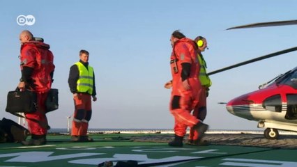 Serie Brave Tern: Contra viento y marea (4) | Hecho en Alemania